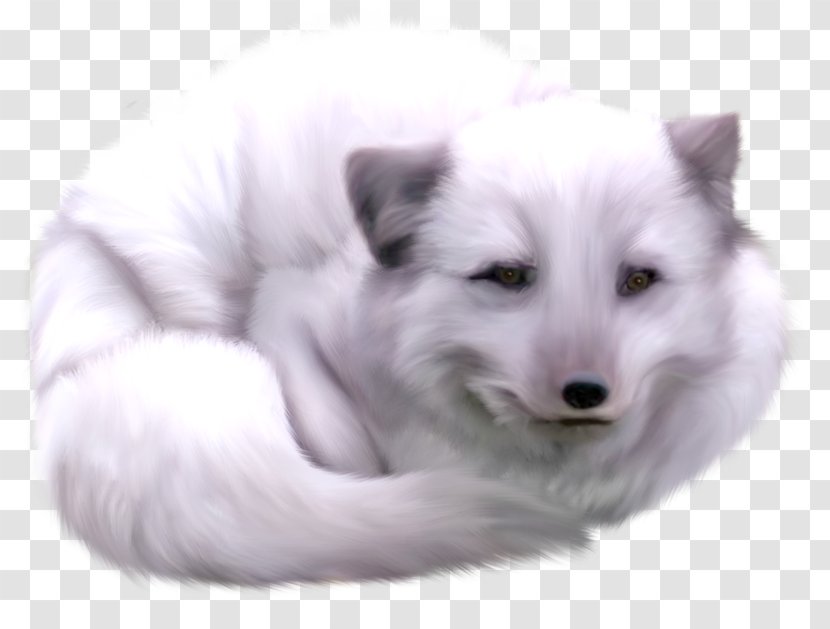 Dog Breed Arctic Fox Centerblog Wolf - Siberian Husky - Clipart Download Transparent PNG