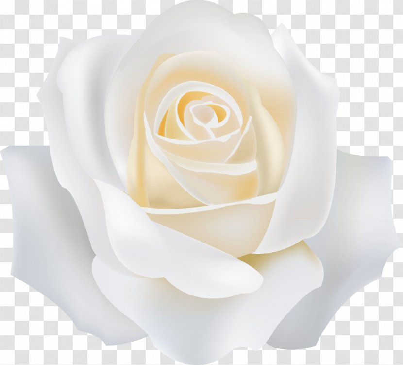 Garden Roses White - Rose Order Transparent PNG