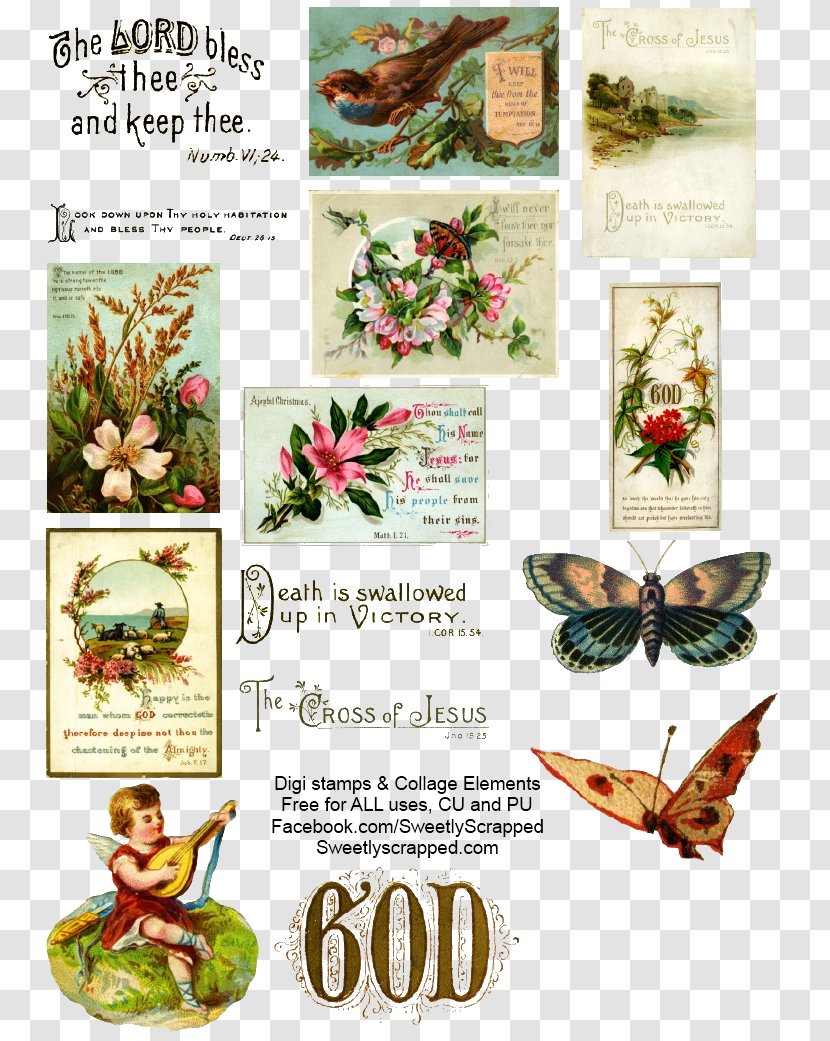 Collage Floral Design Author Victorian Era - Flora - Elements Of Transparent PNG