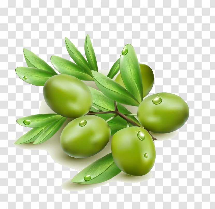 Olive Oil Leaf Clip Art - Green Olives Transparent PNG