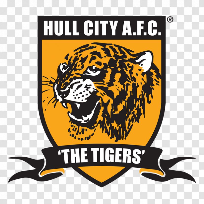 Hull City English Football League Premier KCOM Stadium EFL Championship - Tiger Transparent PNG