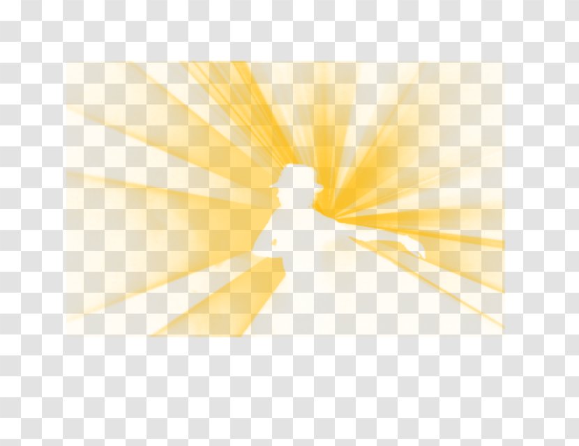 Light - Yellow - Petal Transparent PNG