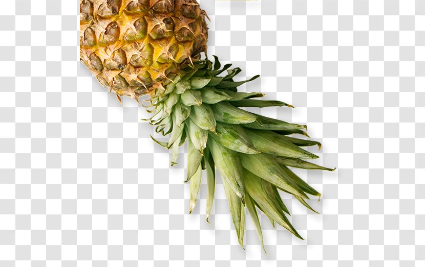 Pineapple Food Recipe Eating Veganism Transparent PNG