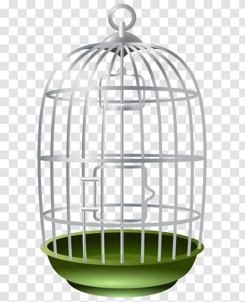 Clip Art Birdcage Parrot Domestic Canary - Drawing Transparent PNG