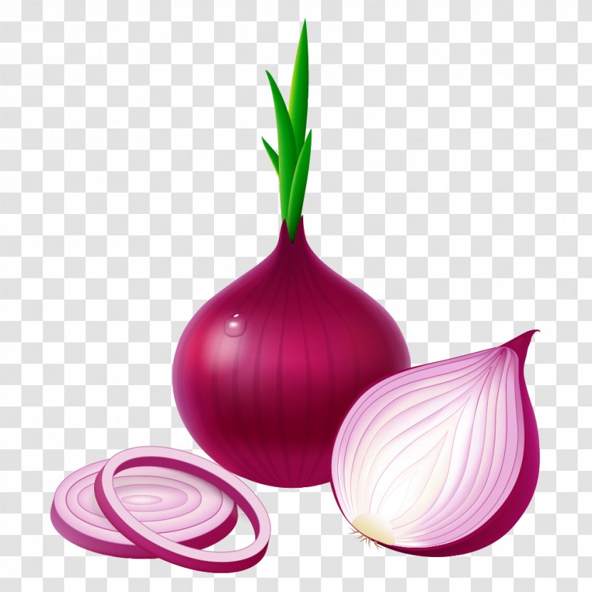 Potato Onion Red Vegetable Garlic White - Genus - Vector Onions Transparent PNG