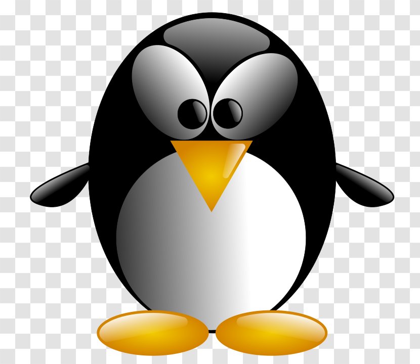 Penguin Vector Graphics Clip Art Image Bird - King Transparent PNG