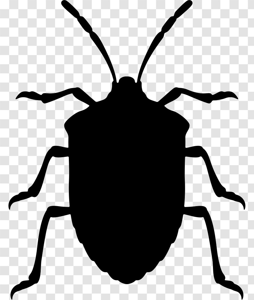 Beetle Sticker Brown Marmorated Stink Bug Wall Decal - Vinyl Group - Ortak Stinkmorchel Transparent PNG