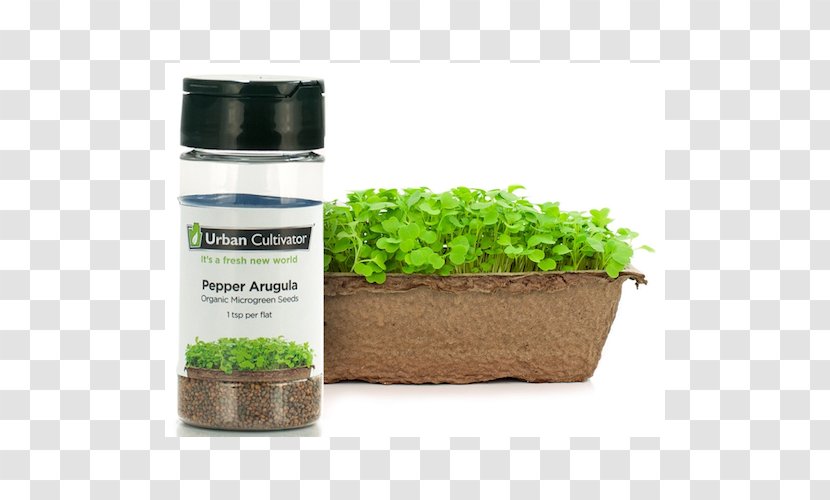 Urban Cultivator Crop Seed - Shop - Arugula Transparent PNG