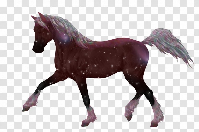 Pony Horse Stallion Foal Mane Transparent PNG