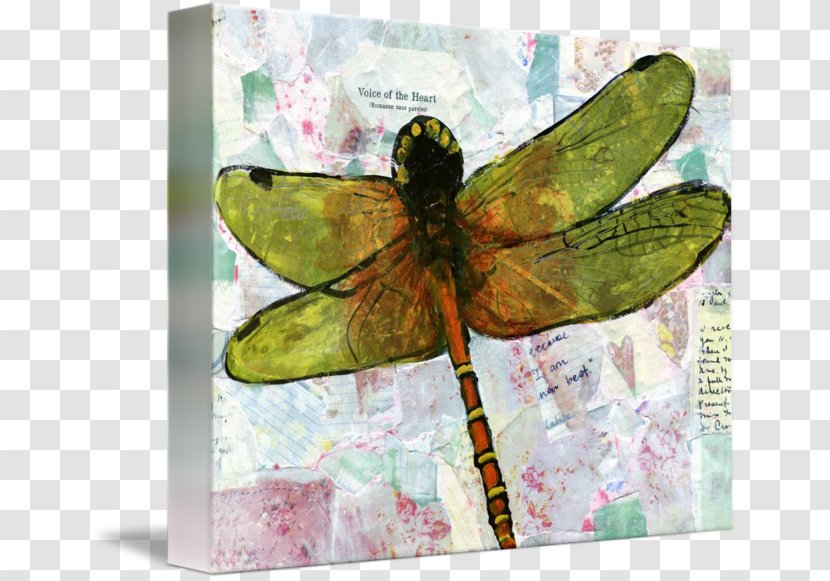 Insect Watercolor Painting Artist - Flower - Dragon Fly Transparent PNG