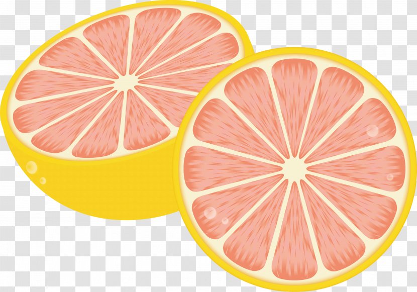 Fruit Illustration Vector Graphics Image Pomelo - Pink - Grapefruit Transparent PNG