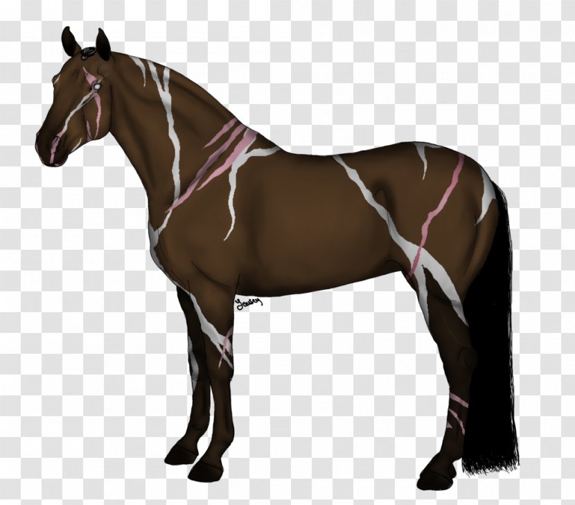 Mane Stallion Mustang Arabian Horse - Drawing Transparent PNG