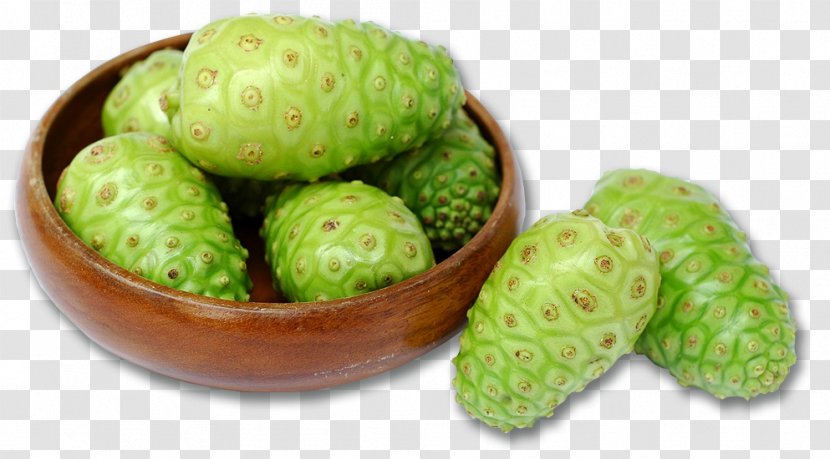 Cheese Fruit Health Bình Dương Province Morinda, Inc. Medicinal Plants - Annona - Noni Transparent PNG