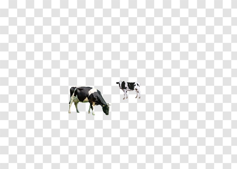 Dairy Cattle Milk Breakfast - Cow Transparent PNG