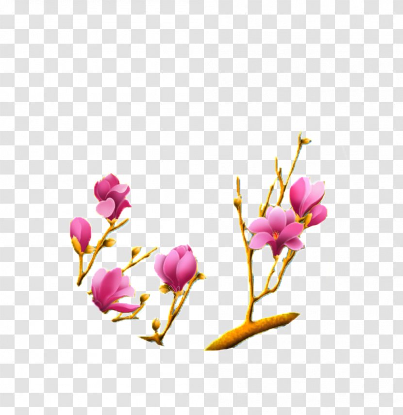 Vector Graphics Yulan Magnolia Liliiflora Chinese - Blooming Pennant Transparent PNG