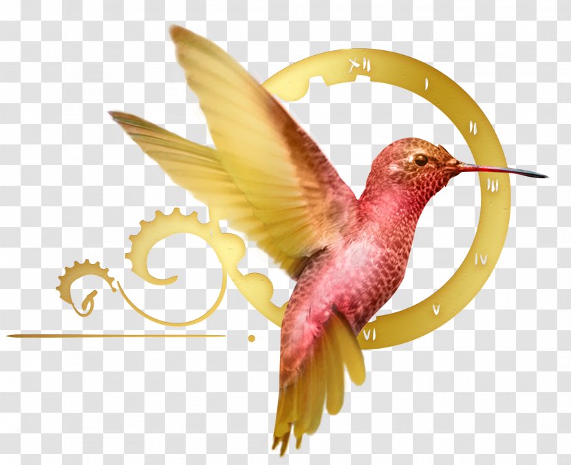 Hummingbird M Business Entrepreneurship System - Birds Watercolor Transparent PNG