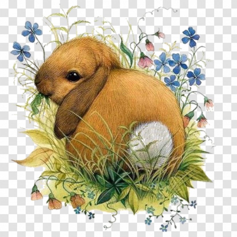 Vera The Mouse Easter Bunny Illustrator - Whiskers - Rabbit Transparent PNG