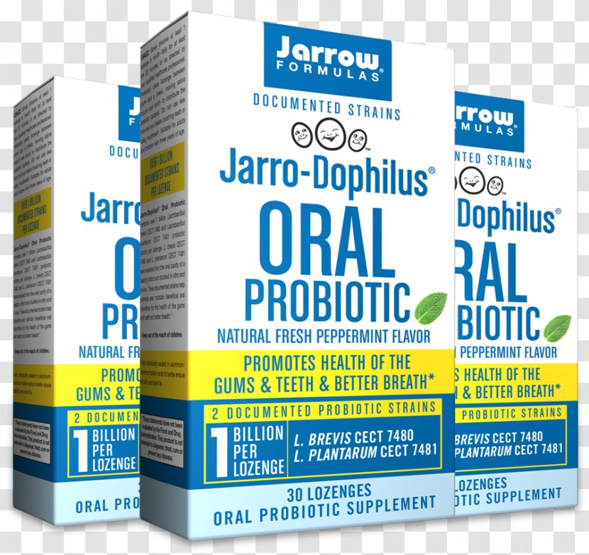 Probiotic Peppermint Lactobacillus Brevis Throat Lozenge Mouth Transparent PNG