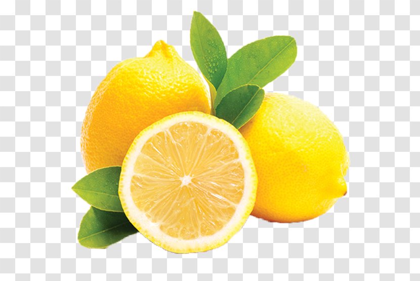 Mayorazgo Export S.L. Lemon Agesco SL Sorbet Fruit - Lime Transparent PNG