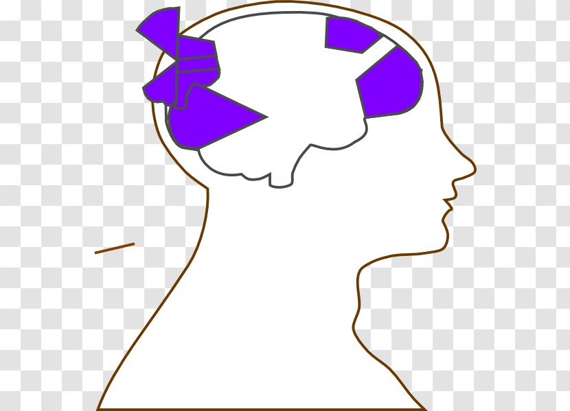 Outline Of The Human Brain Head Clip Art - Watercolor Transparent PNG