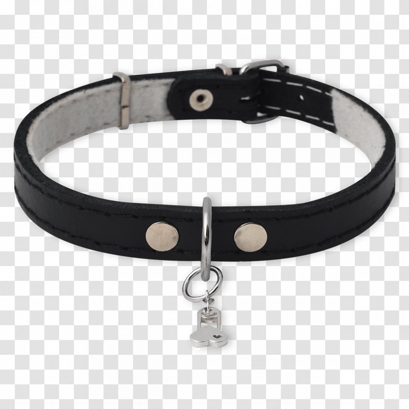 Dog Collar Belt Buckles - Red Transparent PNG