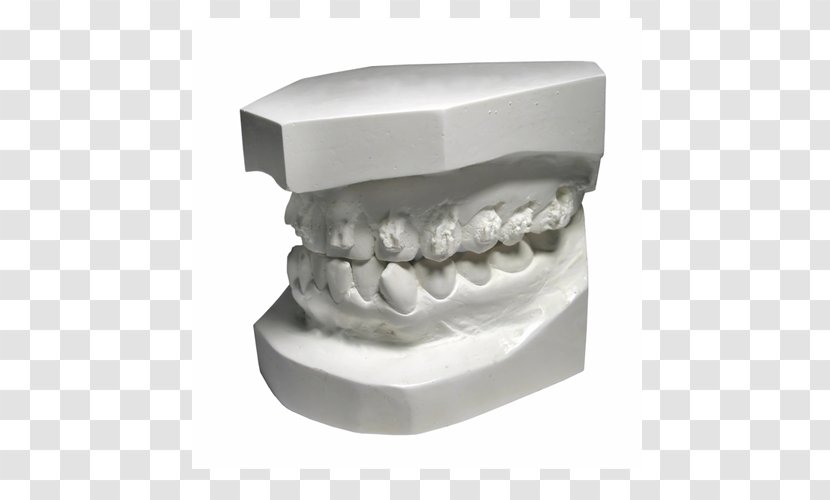 Dentistry Human Tooth - Dental Hygienist Transparent PNG