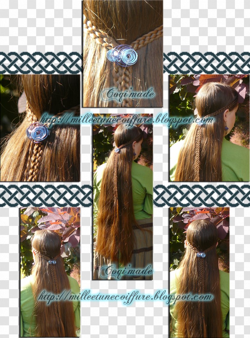 Long Hair Coloring Braid Wig Transparent PNG