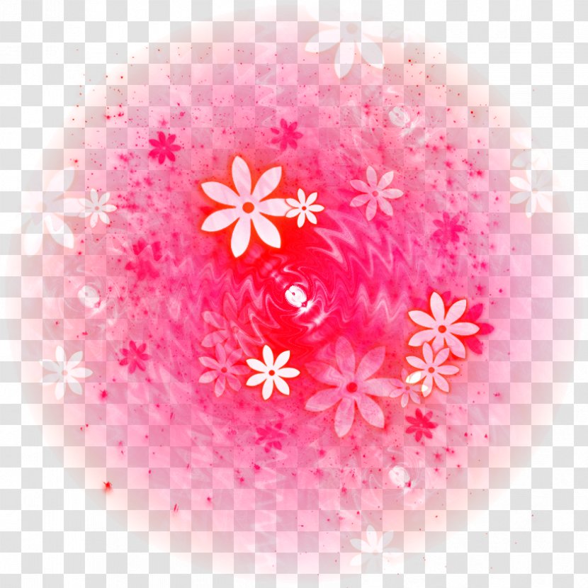 Close-up Pink Magenta Petal Flower - Point Of Light Transparent PNG