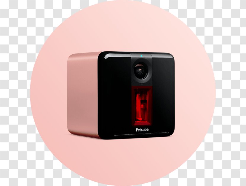 Petcube Play Camera Smart Wi-Fi - Pet Transparent PNG
