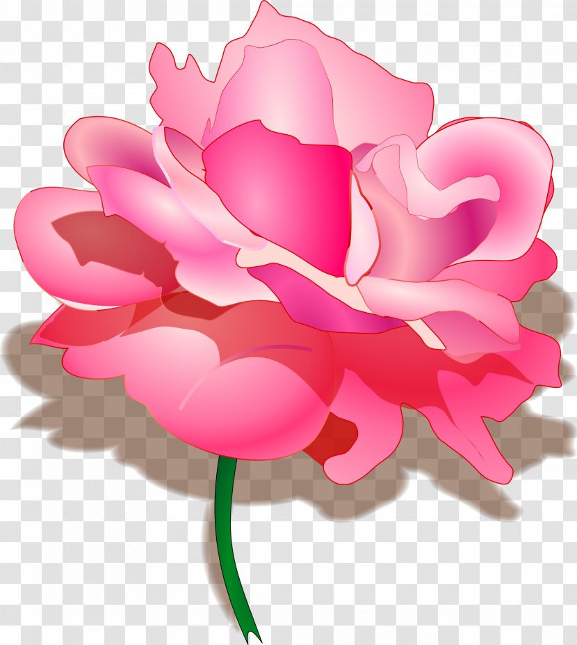 Raksha Bandhan Hindi Happiness Sister Wish - Flowering Plant - Pastel Transparent PNG