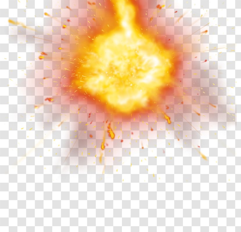 Fire Download - Tree Transparent PNG