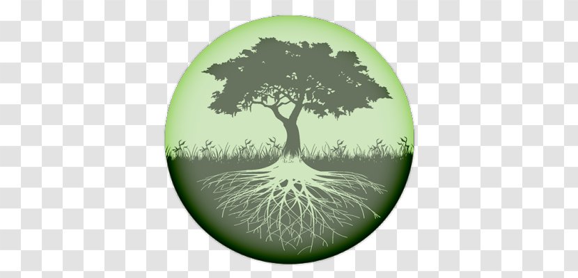 Tree Of Life Root - Royaltyfree Transparent PNG