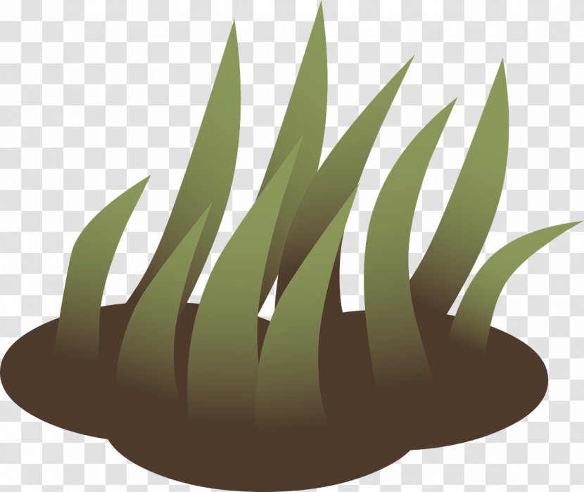 Lawn Clip Art - Mowers - Green Nature Transparent PNG