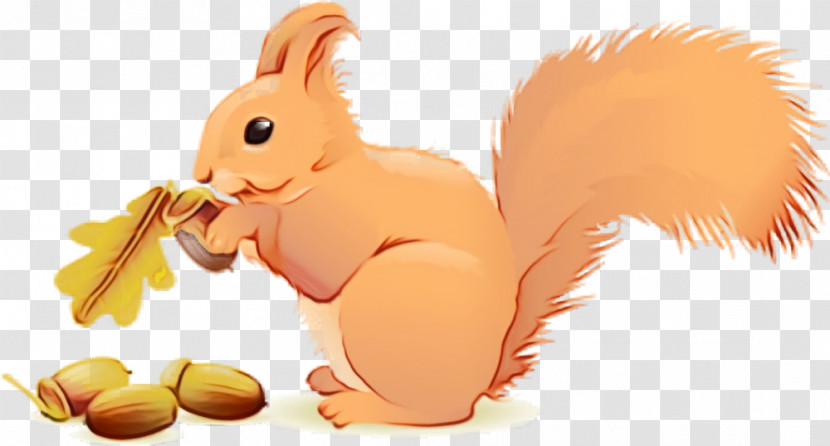 Squirrel Cartoon Animation Eurasian Red Squirrel Tail Transparent PNG