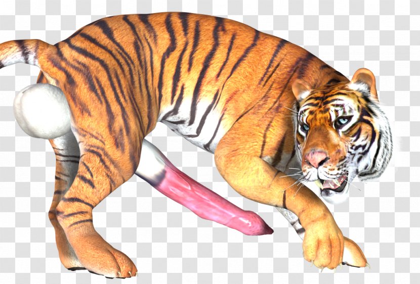 Tiger Cat Wildlife - Big Cats - 3d Transparent PNG