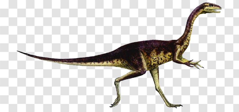 Carnivores: Dinosaur Hunter Elaphrosaurus Size Spinosaurus Giganotosaurus - Condorraptor Transparent PNG