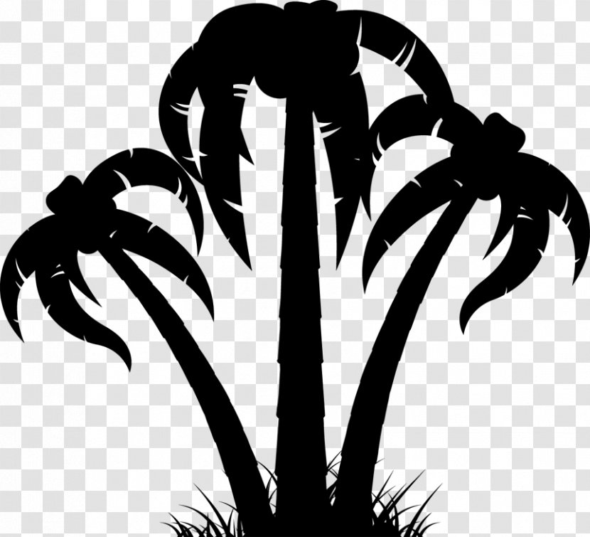 Palm Trees Clip Art Vector Graphics Silhouette - Claw - Plant Transparent PNG
