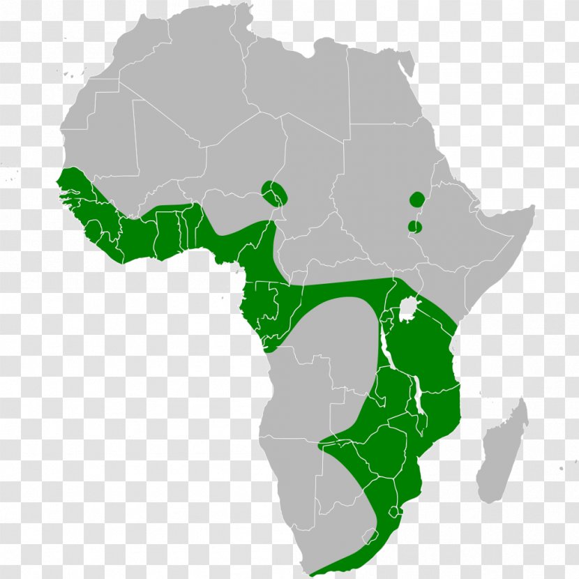 Africa Vector Map - Grass Transparent PNG