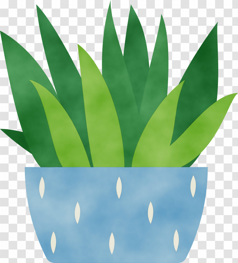 Leaf Green Flowerpot Biology Plants Transparent PNG