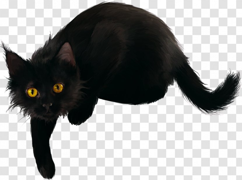 Black Cat Kitten Clip Art - Cats Transparent PNG