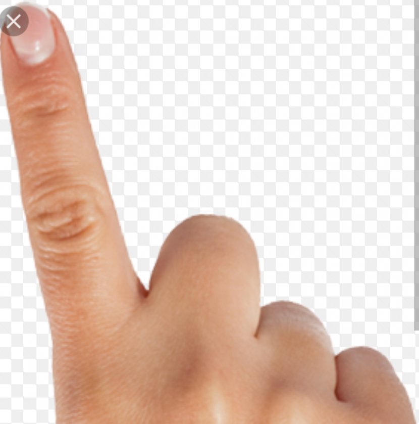 Index Finger Digit Clip Art - Toe - Fingers Transparent PNG