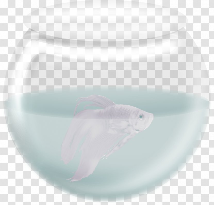 Toilet Seat Marine Mammal Pink - Exquisite Fish Tank Transparent PNG