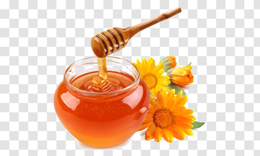 Honey Garlic Sauce Bee Transparency - Food Transparent PNG