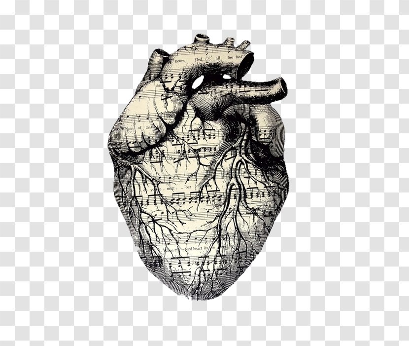 Drawing Musical Theatre Artist - Cartoon - Sloth Heart Transparent PNG