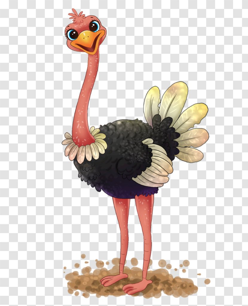 Common Ostrich Clip Art Free Content Openclipart - Bird - Ostreich Transparent PNG