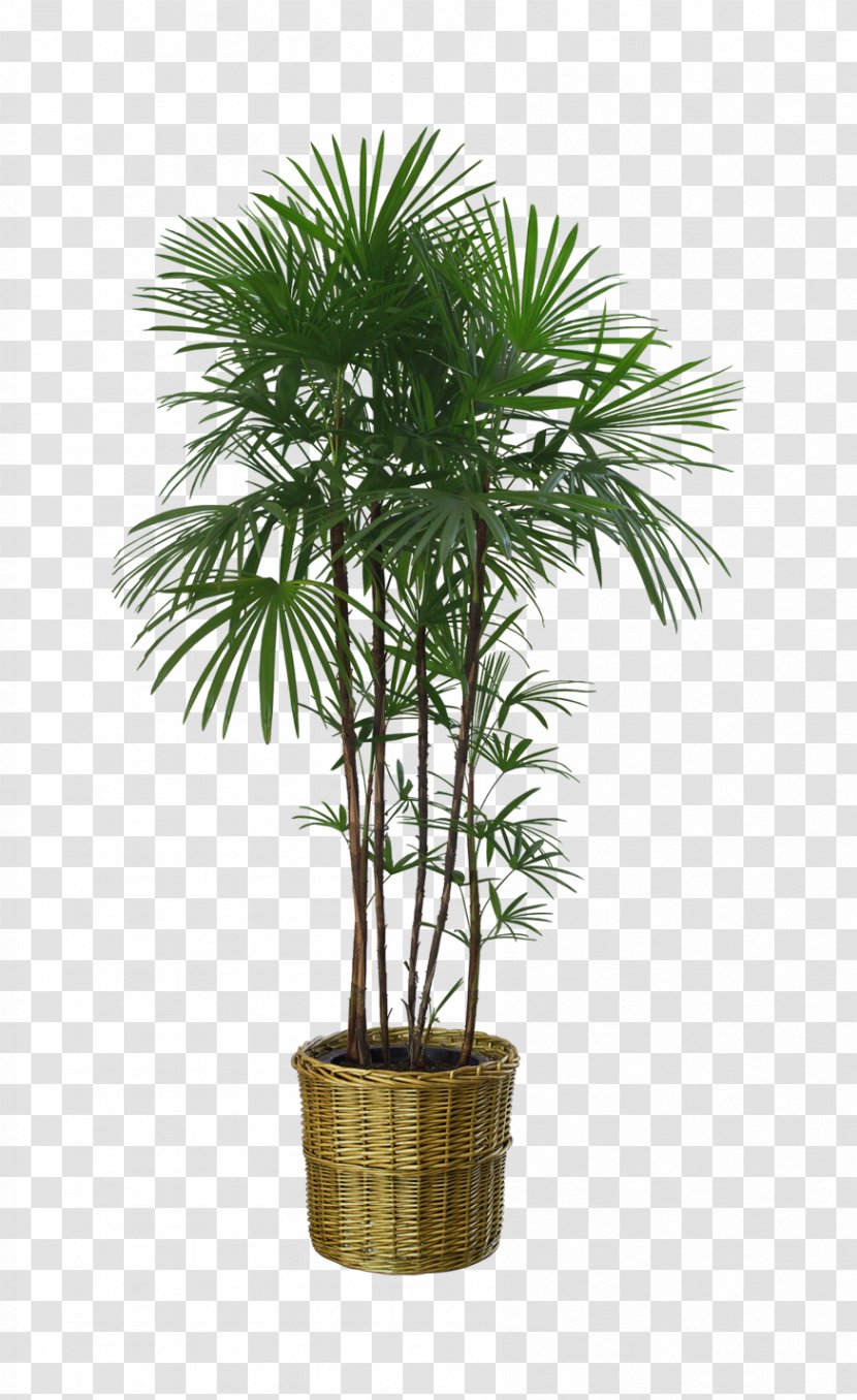 Flowerpot Houseplant Garden - Bench - Potted Palm Trees Transparent PNG