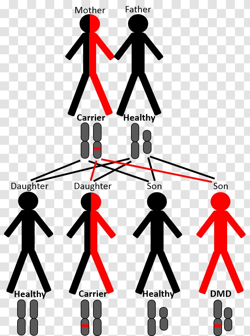 Line Human Behavior Point Angle Clip Art - Structure Transparent PNG