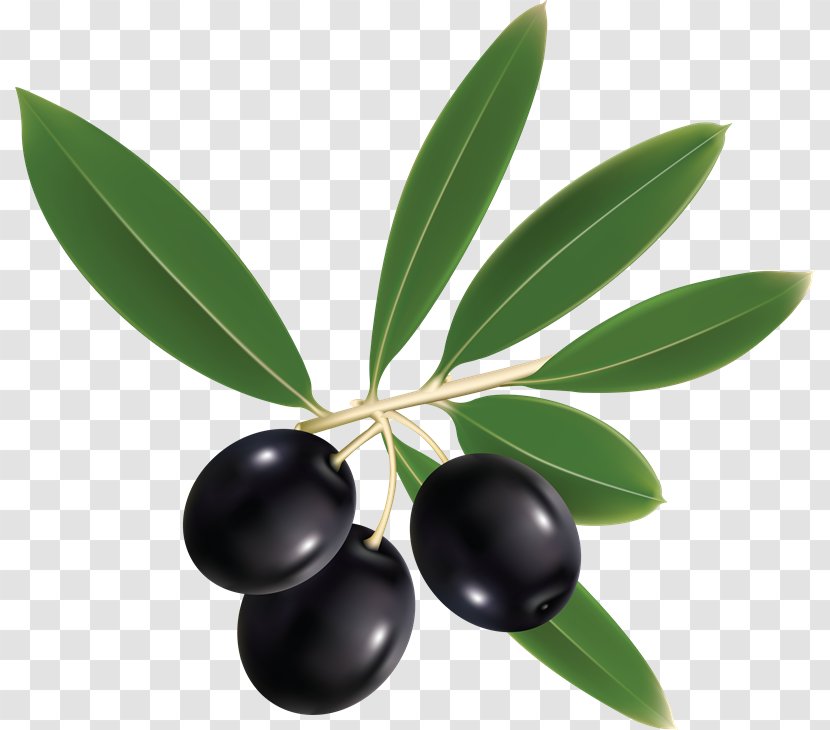Olive Leaf Mediterranean Cuisine Clip Art - Oil - Tata Ace Transparent PNG