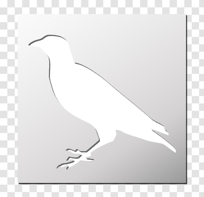 Bird Of Prey Stencil Silhouette FRENCHIMMO - Shorebirds Transparent PNG