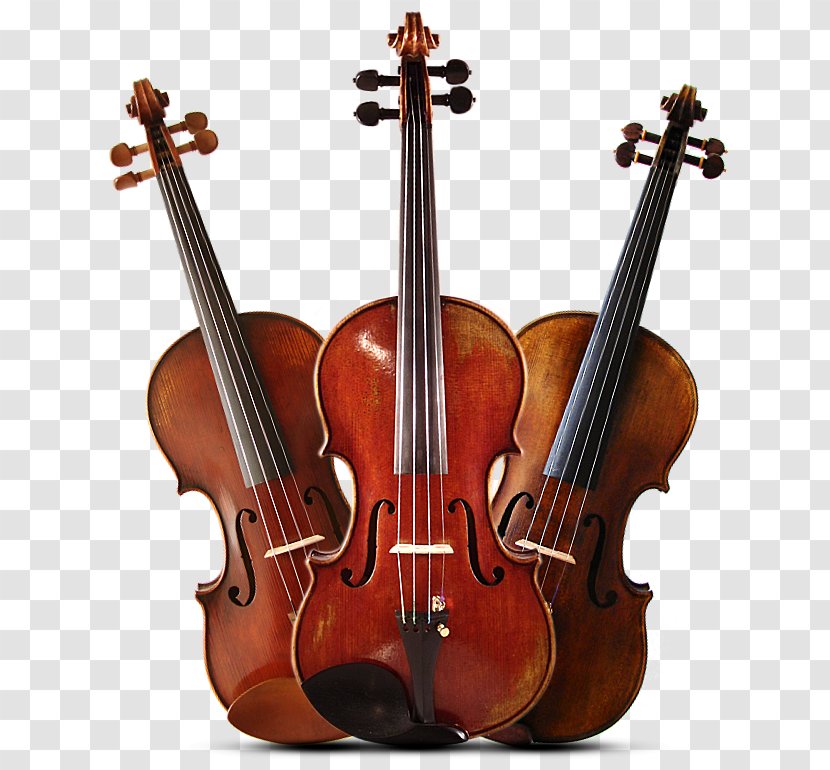 Bass Violin Violone Viola Double - Flower - Instrumentos Musicales Transparent PNG